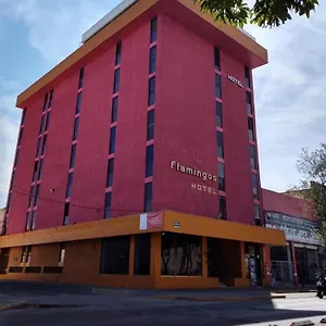 Flamingos Guadalajara